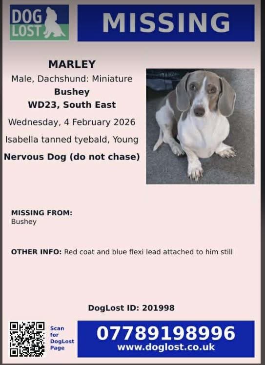 SAMPAuk_'s tweet photo. #Missing - MARLEY - Wearing a red coat with Blue Flexi lead still attached! He could be trapped somewhere #Dachshund - #Bushey #HERTFORDSHIRE #WD23
https://t.co/agSkBzCjk7
Please do not chase/call/follow he is very nervous. Wearing a red coat - Call 07789198996
#LostDog https://t.co/VoNHwNjInb