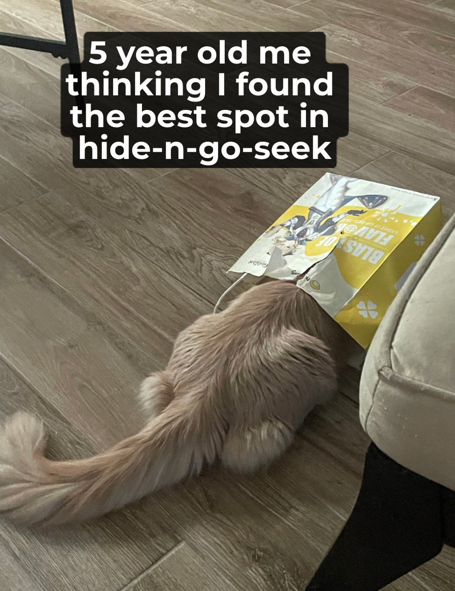 holding_foru's tweet photo. #catinbag https://t.co/DiEupn7GkB