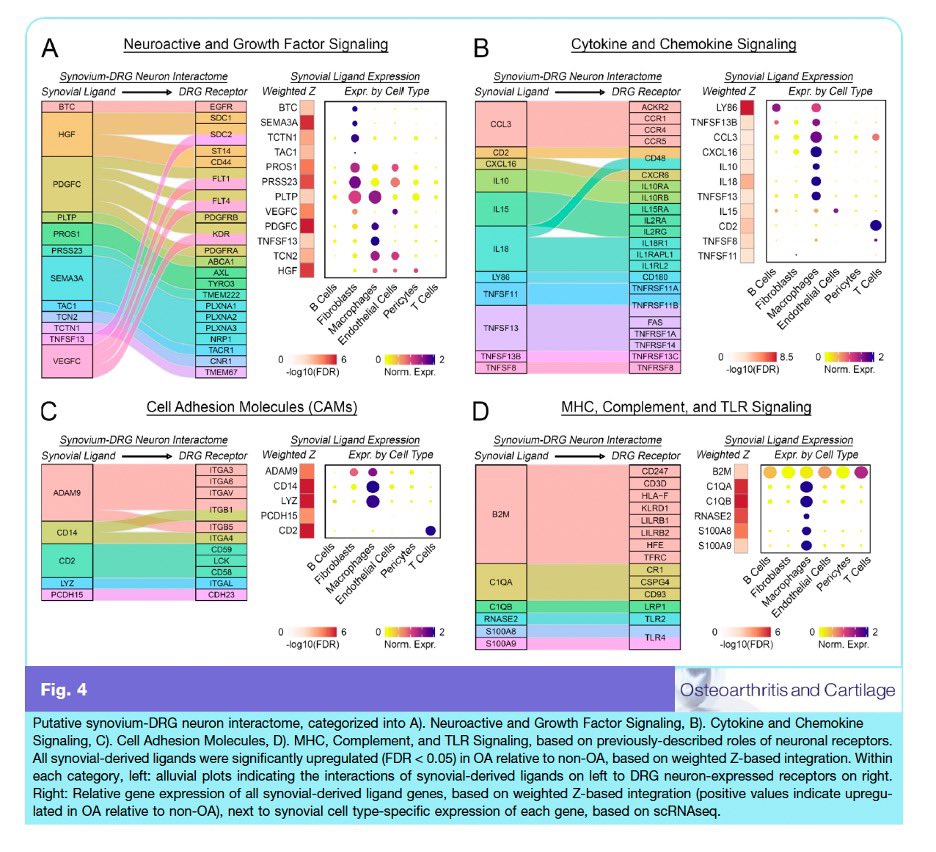 HSS Education Institute tweet media