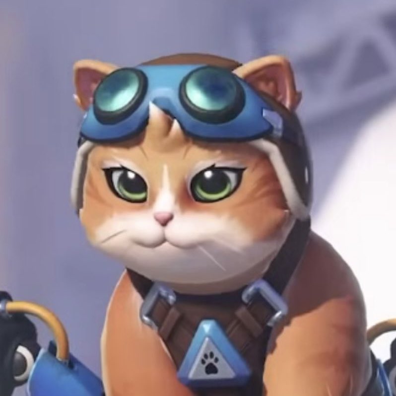 teddy__cats's tweet image. i apologise for how insufferable i am going to be but she is just TOO cute 😭😭😭😭😭😭