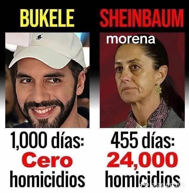 ManuelVegaMX's tweet image. Esto pasa cuando uno combate al crímen organizado...

Y otros se alían a ellos.

Ccp @Claudiashein 
.