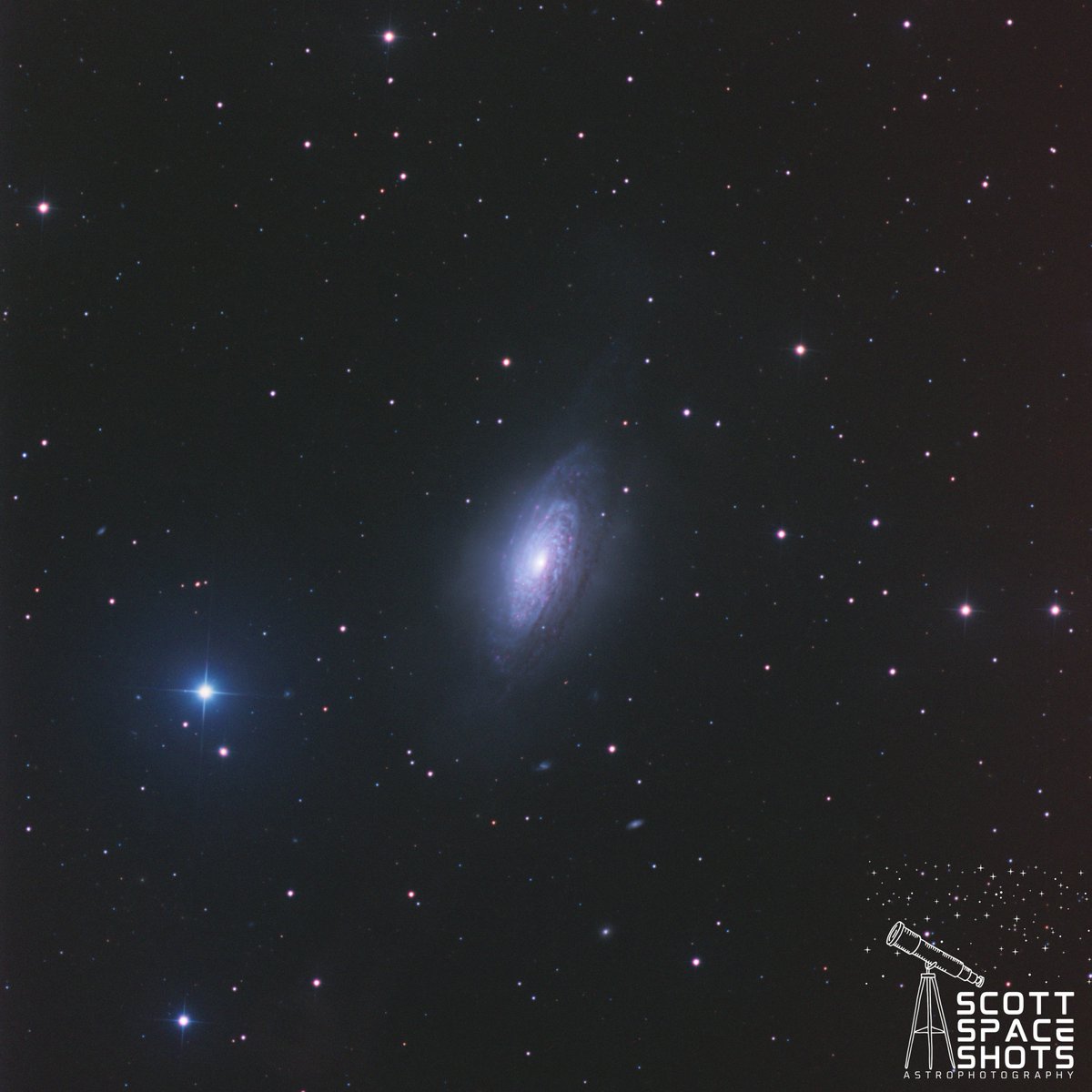 ScottSpaceShots's tweet photo. Meet the Bubble Galaxy, a spiral galaxy about 35 million lightyears away that prefers personality over perfection. Instead of tidy arms, we see tangled dust lanes, bright core, and a broken turbulent structure. Messy. Subtle. Beautiful. Even galaxies don’t have it all together. https://t.co/Dju49cI3Ca
