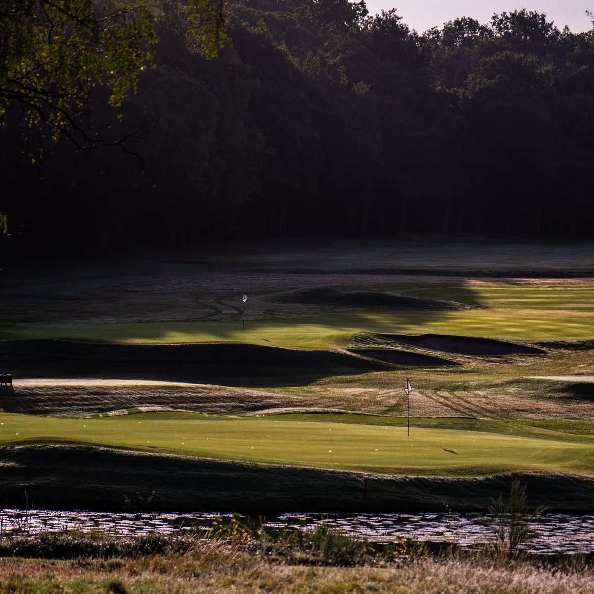 Little Aston GC tweet media