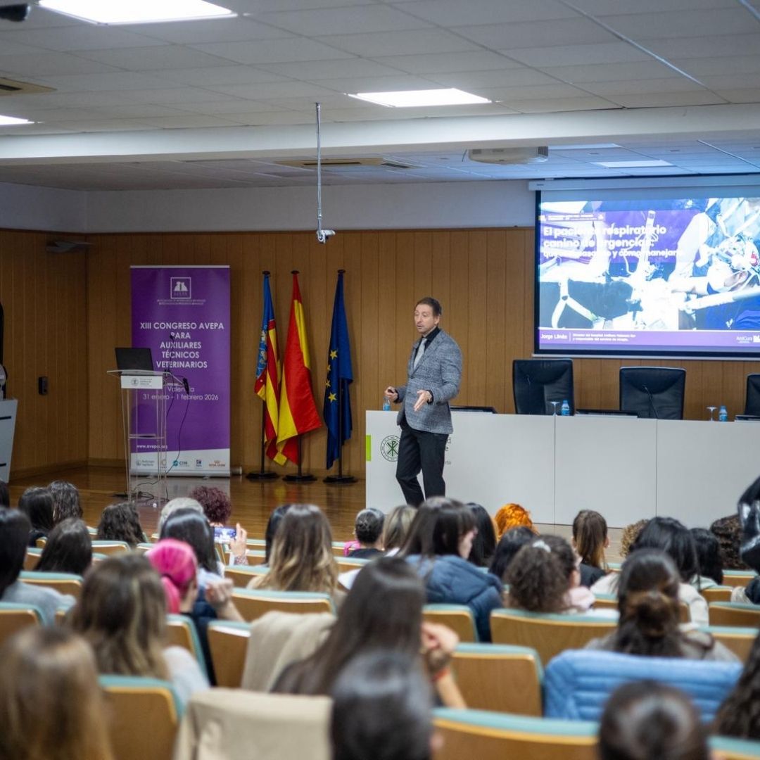 AVEPA_vet's tweet image. Más de 150 #ATVs se reunieron en el #CongresoATV de AVEPA en Valencia para impulsar la formación y el crecimiento profesional.
Urgencias, triaje, respiratorio, cardio, neuro y comunicación, con un alto nivel científico y gran implicación del colectivo.
#FormaciónATV #Veterinaria