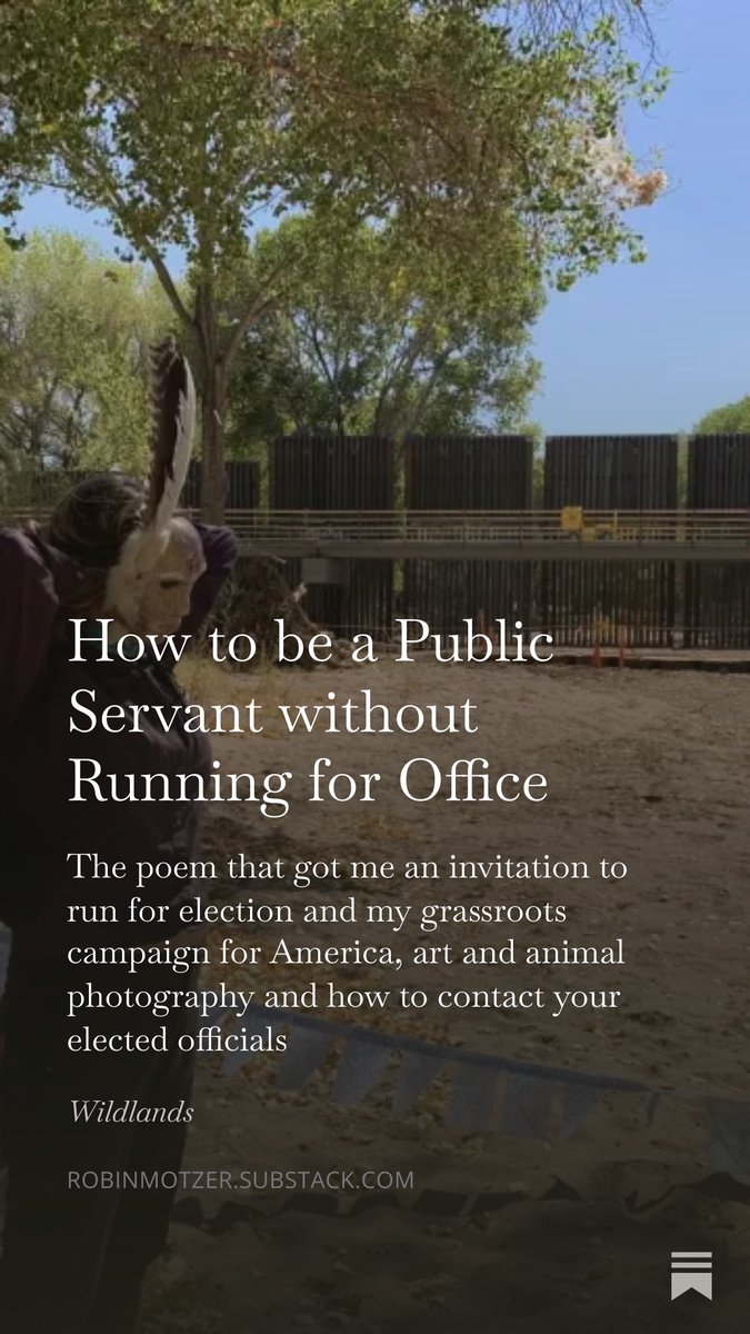 RobinMotzer's tweet image. How to be a Public Servant without Running for Office, by @RobinMotzer open.substack.com/pub/robinmotze…