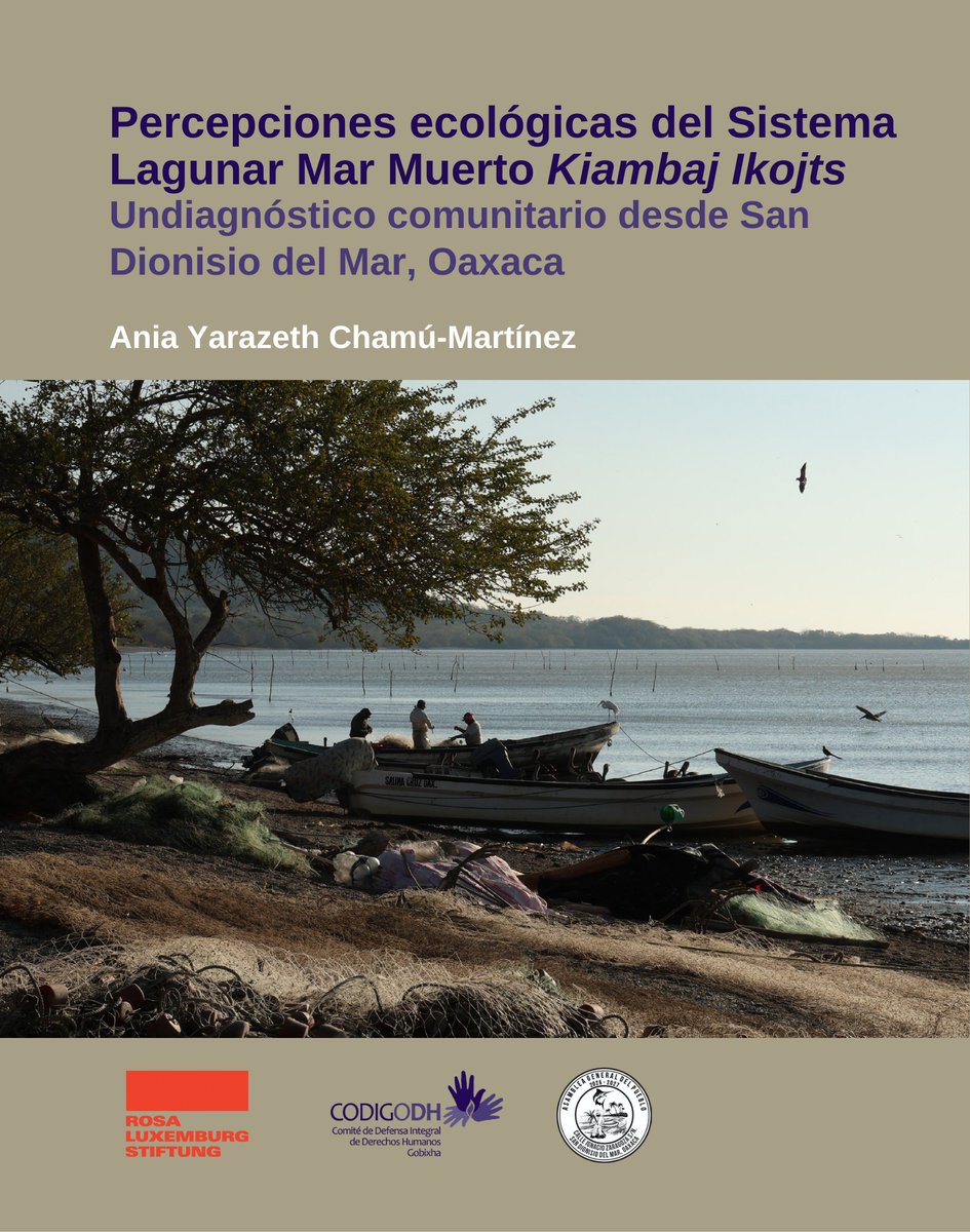 Codigo DH tweet media