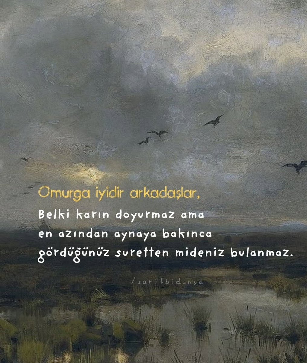 Emre Güzel (@emreguzzel) on Twitter photo 