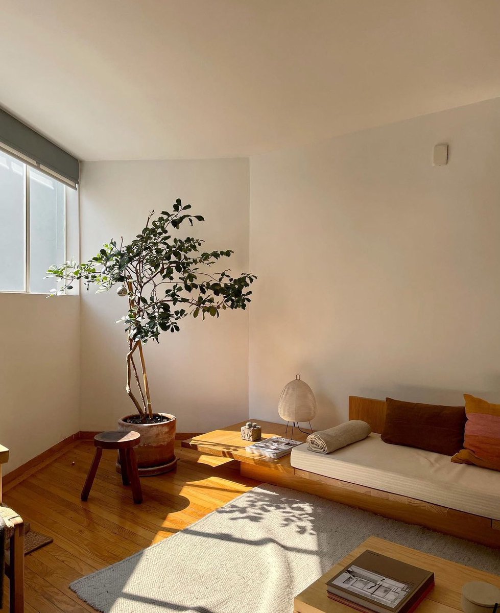 Héctor Velázquez tweet media