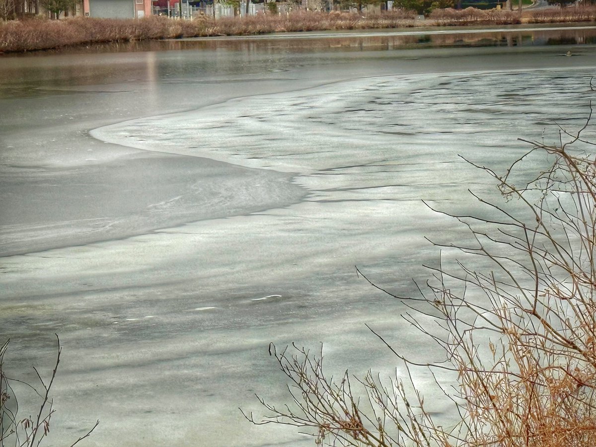 Bill Leslie tweet media