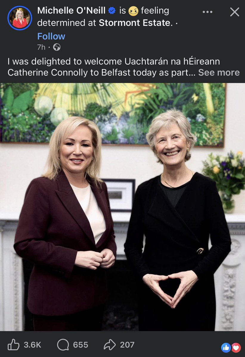 IRISH PATRIOT tweet media