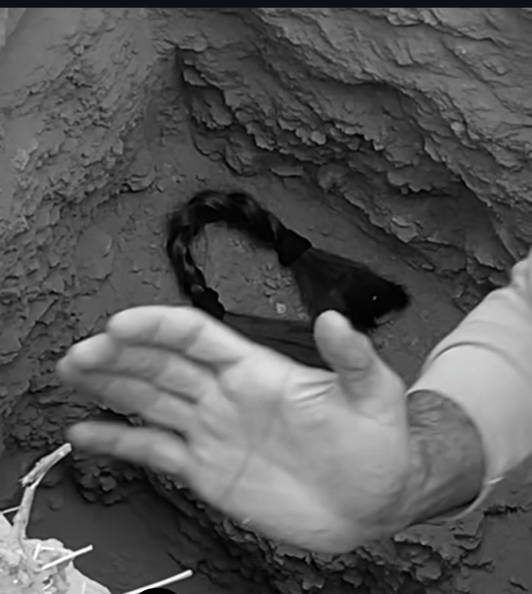 شش ماه از ازدواجشون گذشته بود، همسرش گیسوی بافته‌ش رو بریده و گذاشته توی مزار شوهرش. 
علیرضا جواهری بیست‌وپنج ساله به ضرب گلوله در محله‌ی آریاشهر کشته شده. همسر علیرضا جواهری نوشته: "تو برای من هشت سال عشق خاطره گذاشتی و من برای تو موهام رو."