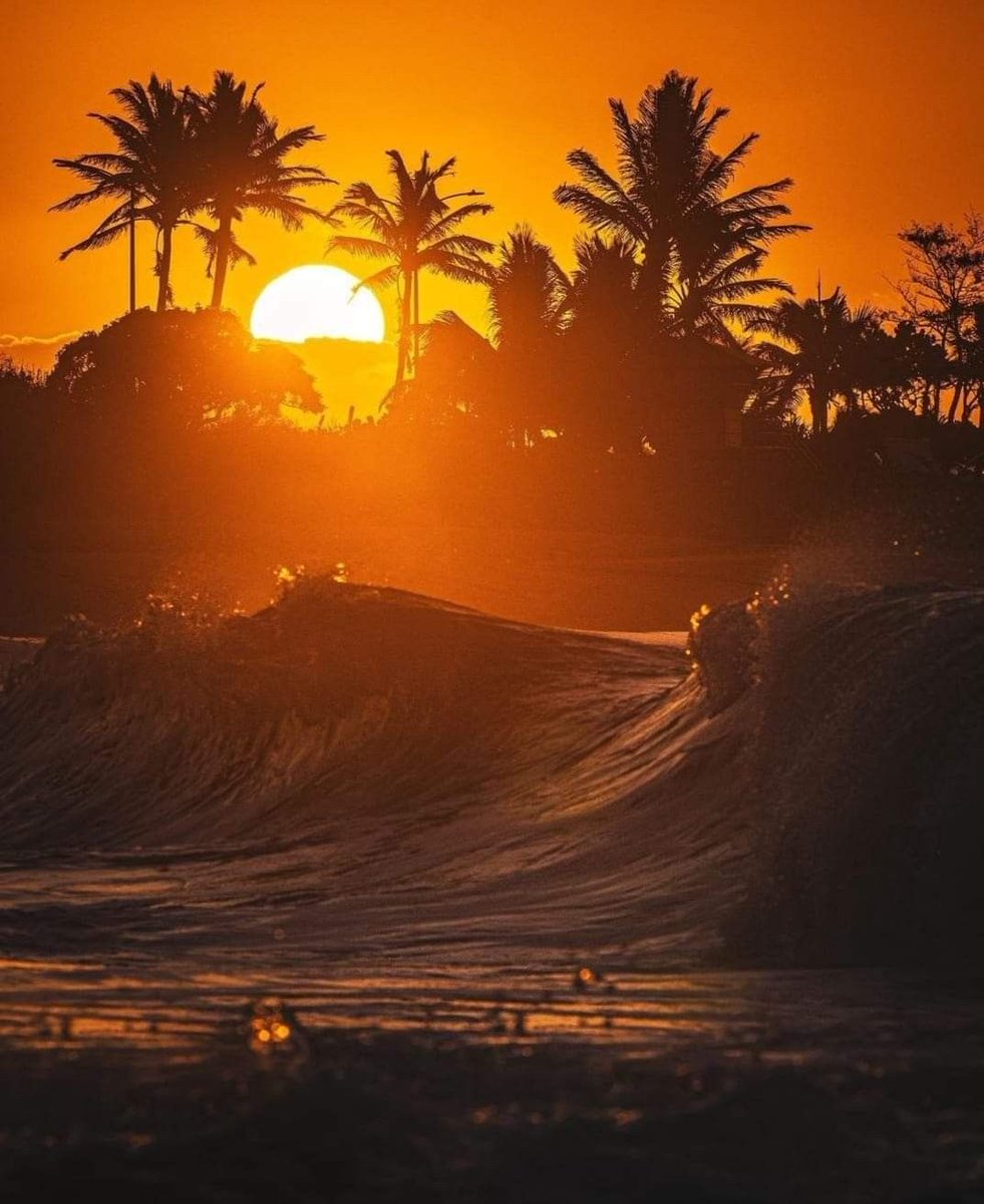 pack8aitz's tweet image. have a great day !