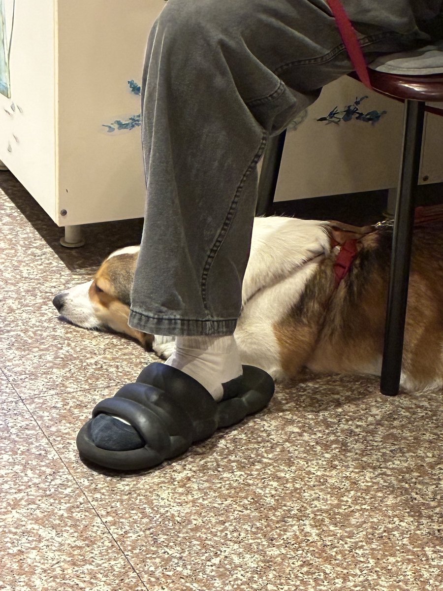 𝑌𝑖𝑥. tweet media