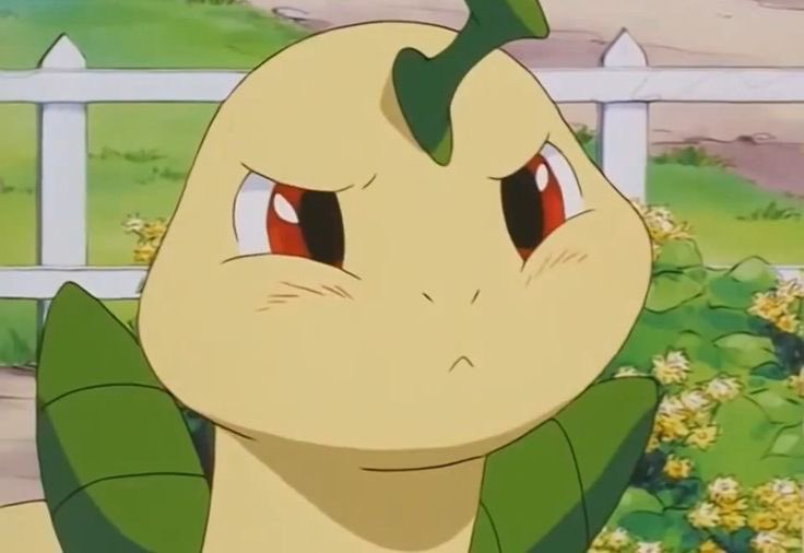 grumpy leaf dinosaurs