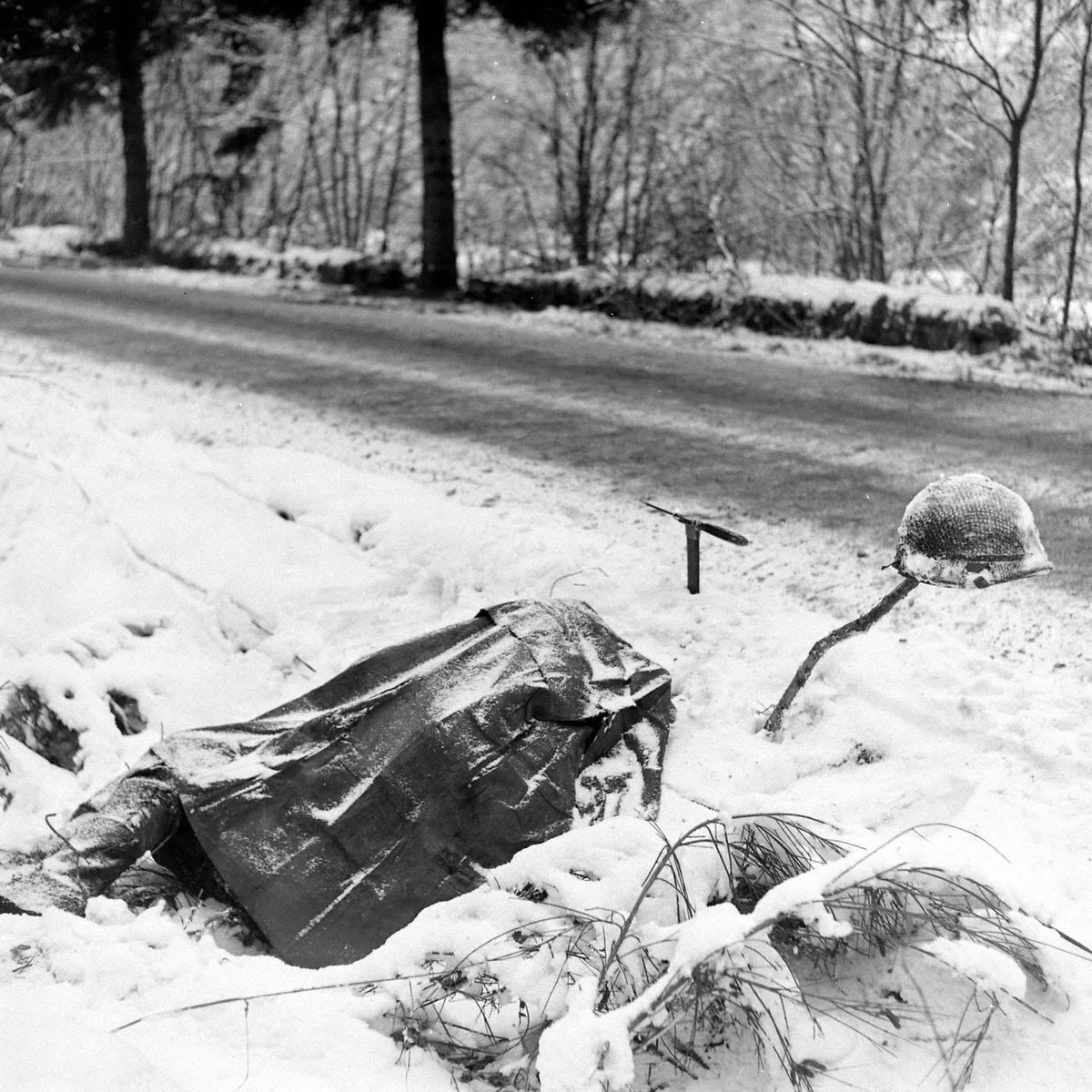 World War II History tweet media