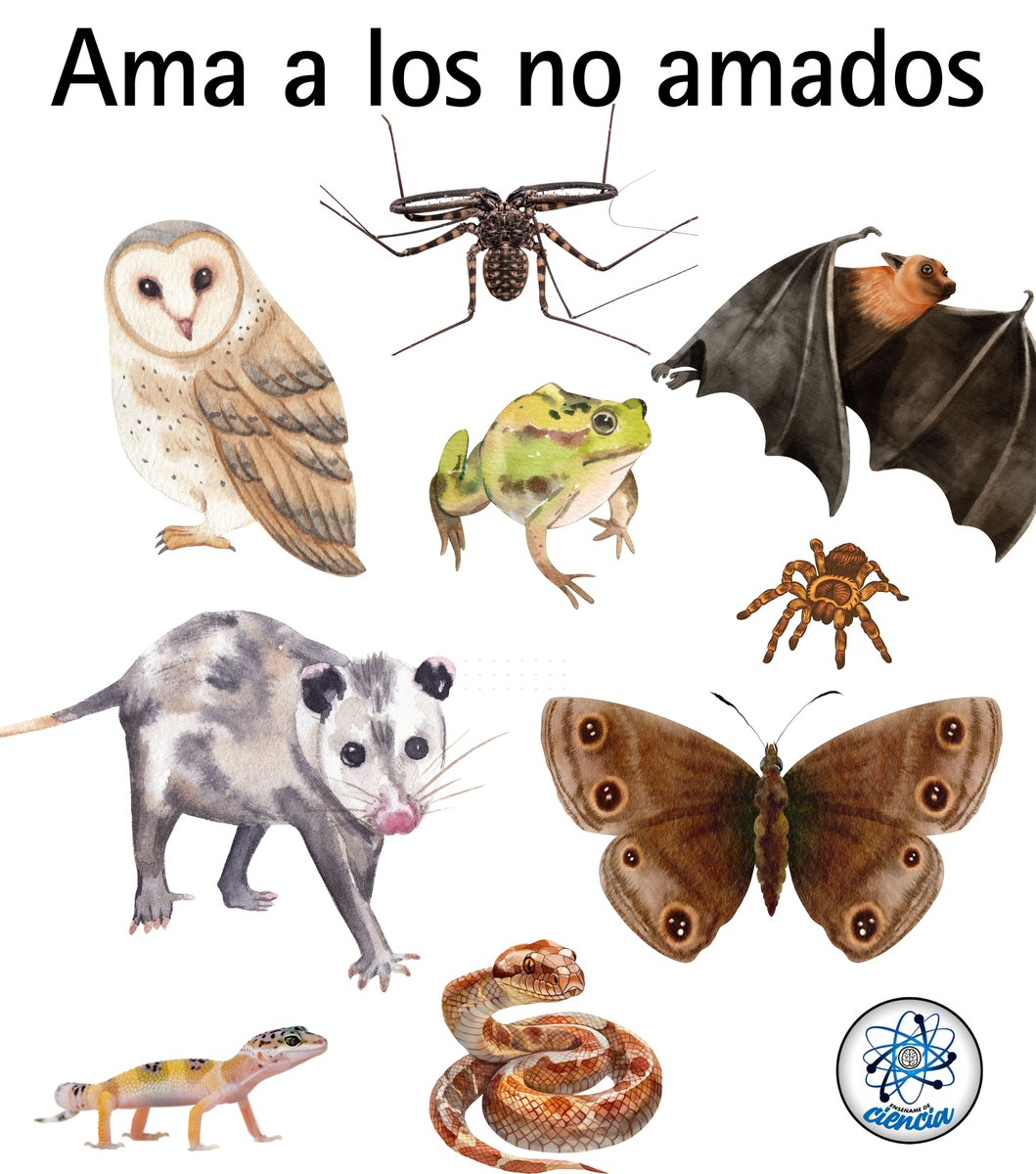 Amar la naturaleza no es amar solo lo bonito… es aprender a respetar todo lo que sostiene la vida.

🖤🌍 Ama a los no amados.