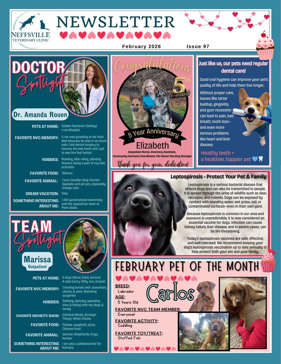 NeffsvilleVet's tweet photo. February Newsletters
https://t.co/5VA2cs7iRv https://t.co/fHhQpEPa7C