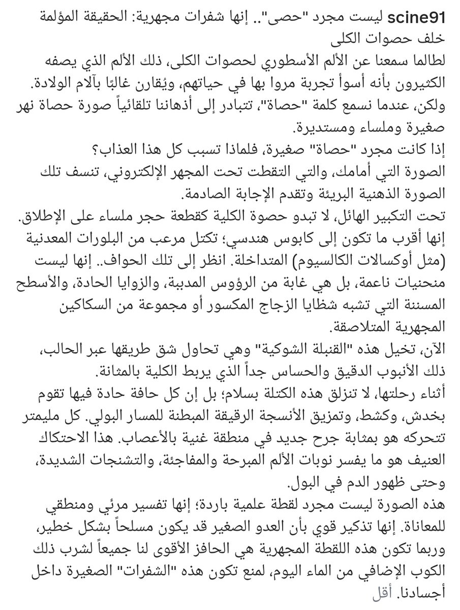 بوح |🐈‍⬛ tweet media