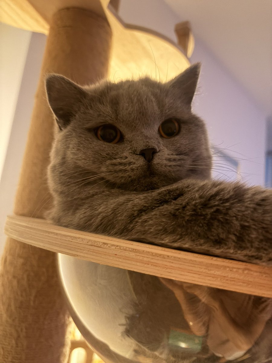 Emma Yen tweet media