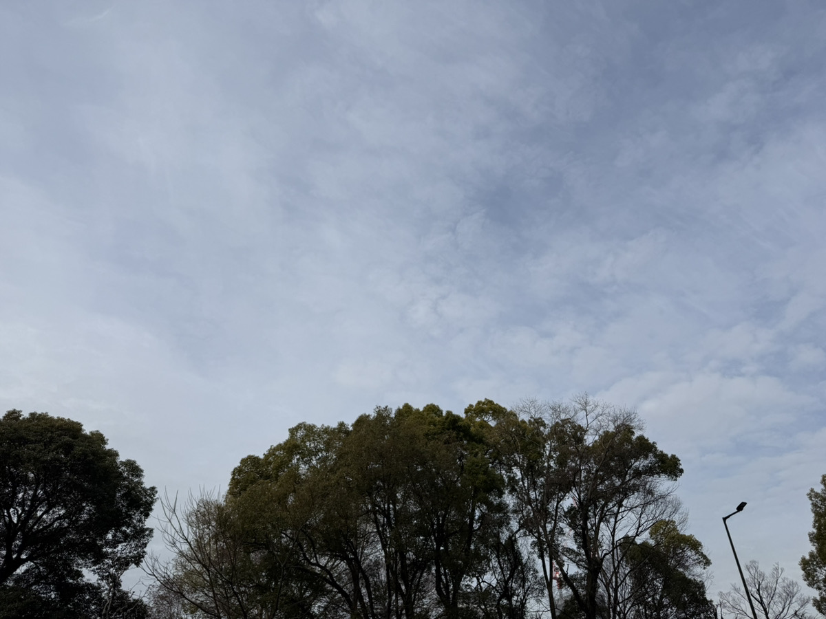 おはようございます！

1個1個は小さな話でも、同時期に一斉に集中すると身体は一つしかなくて一日は24時間しかありませんので簡単に器から水がこぼれてしまう感覚になります😅
焦って状況が好転することはありません。焦りそうなときほどゆったり取り組みましょう！

本日もよろしくお願いします！