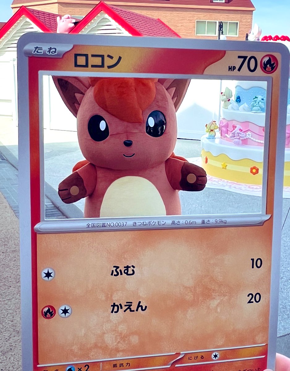 ロコン、めちゃくちゃ遊んでくれた🫶 #ポケパークカントー #pokeparkkanto