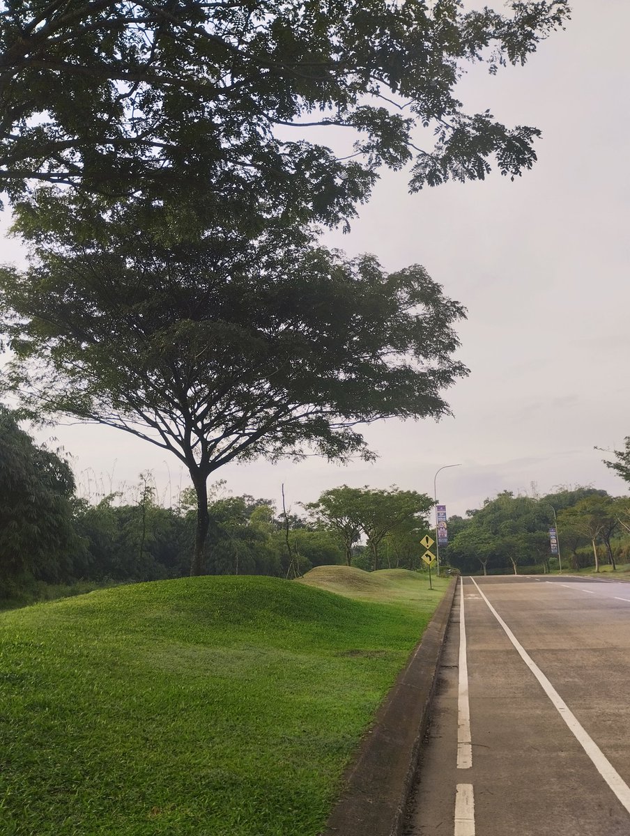 cheesecake tweet media