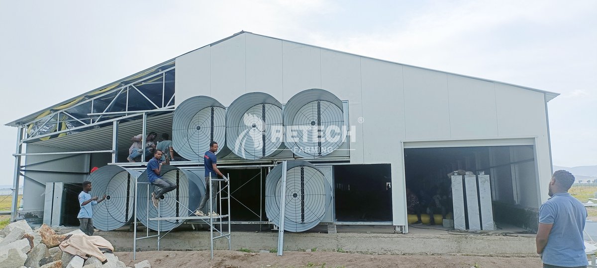 retechfarming's tweet image. Steel-framed strength meets poultry performance! 🏗️🐓 
4 broiler breeder houses now live in Ethiopia. 

#RETECHFarming #ChickenFarm #PoultryHouse #chickenhouse #Ethiopia