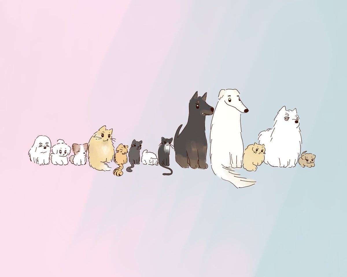 멍냥틴