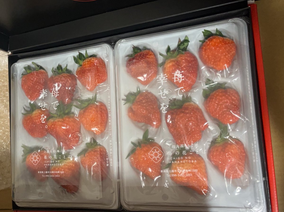STARLABO_inc tweet picture
