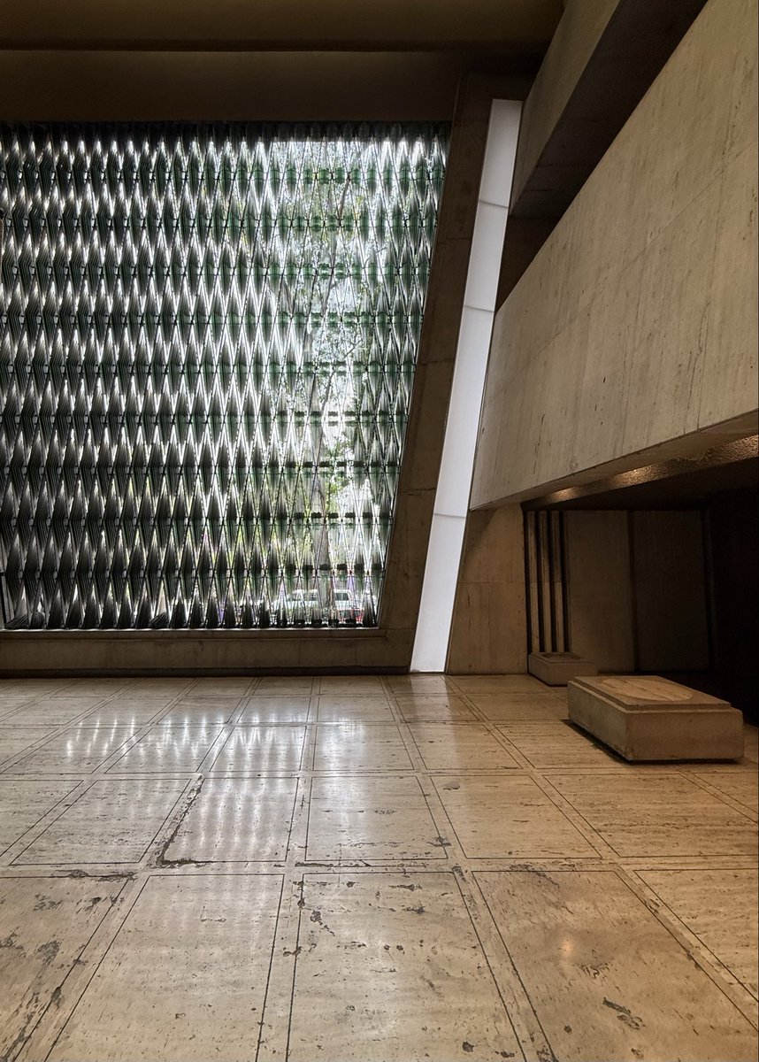 Armando Maravilla - Wonder tweet media