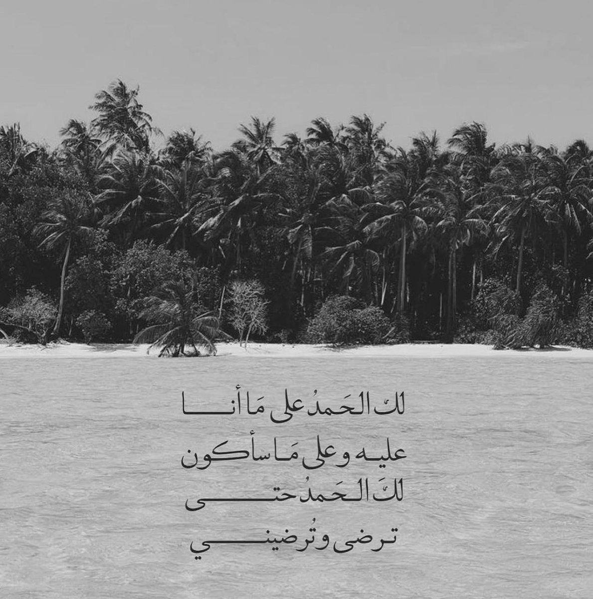 فــذكِّر (@thkkkrr_) on Twitter photo 