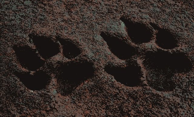 ᅠᅠᅠ〝 ⋆ 𝙧𝙚𝙢𝙪𝙨.ೃ tweet media