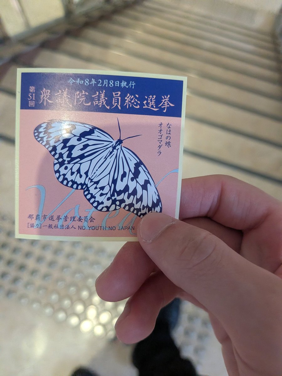 やってきました