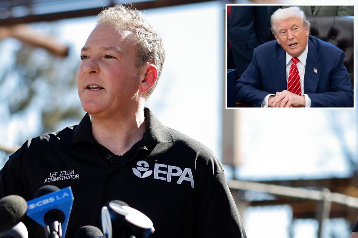 nypost's tweet image. Zeldin slams Newsom, says his daily shots at Trump are hurting fire victims nypost.com/2026/02/04/us-…