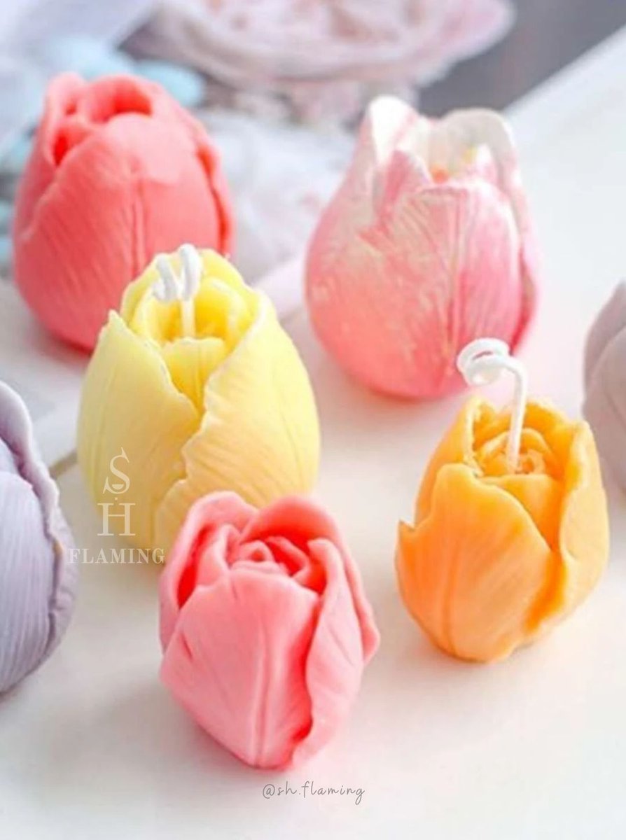 SH_Flaming's tweet photo. ¡Deja que la belleza de un tulipán ilumine! 🌷✨

Manda DM para pedir las tuyas. 📲 449 387 6000

#VelasTulipán #AromasPersonalizados #DecoraciónConEstilo #RegalosElegantes #VelaArtesanal #AmbientesÚnicos #FlorDeCera #EstiloYFragancia #DetallesQueEnamoran https://t.co/eEER7Ne4DW