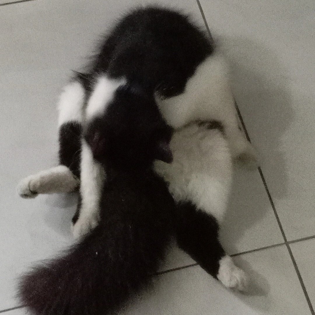 Baru bangun udh disambut begini 😇