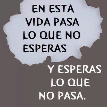 CARPE DIEM tweet media