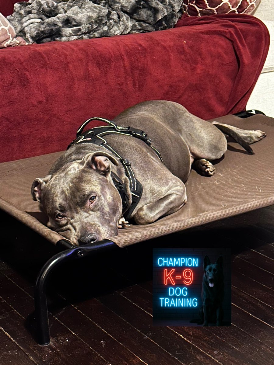 Finished out my training day with my buddy Attila and his wonderful family! Keep up the great work guys!!!