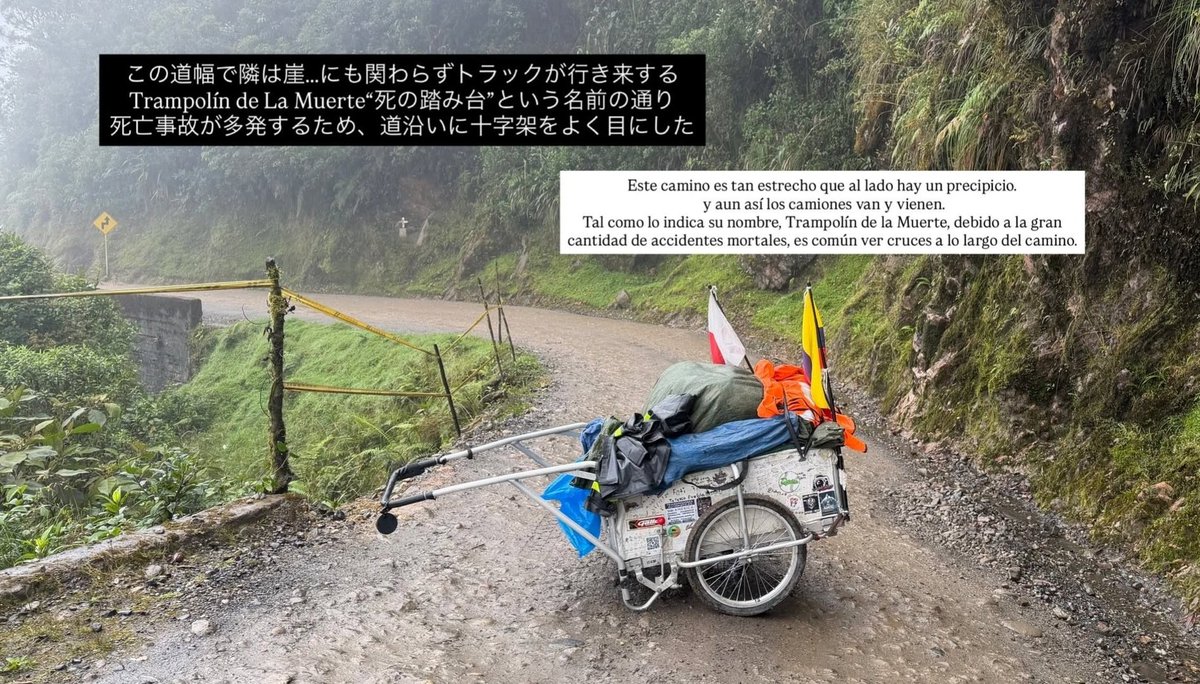 Camillus tweet media