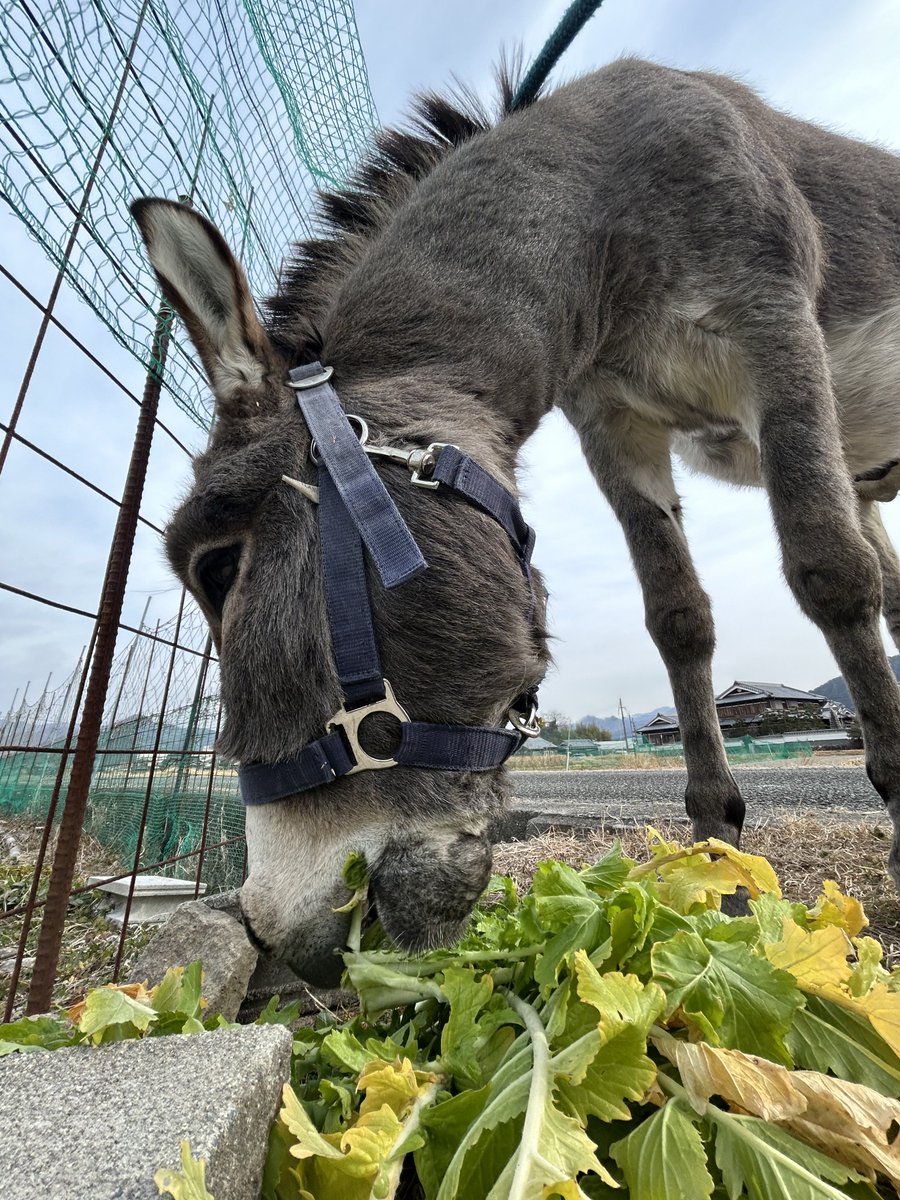 ツルキミ (@TJo95V15kl35013) / Posts / X