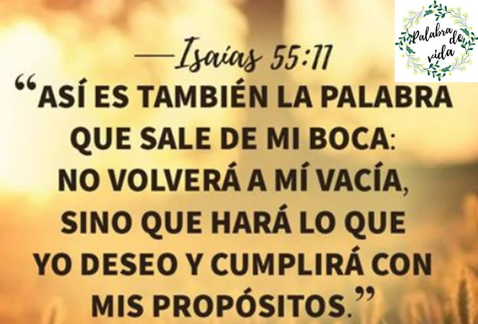 blacker_lavayen's tweet photo. https://t.co/ZzH5tbTEHi