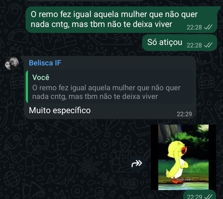 Ai ai esse leão