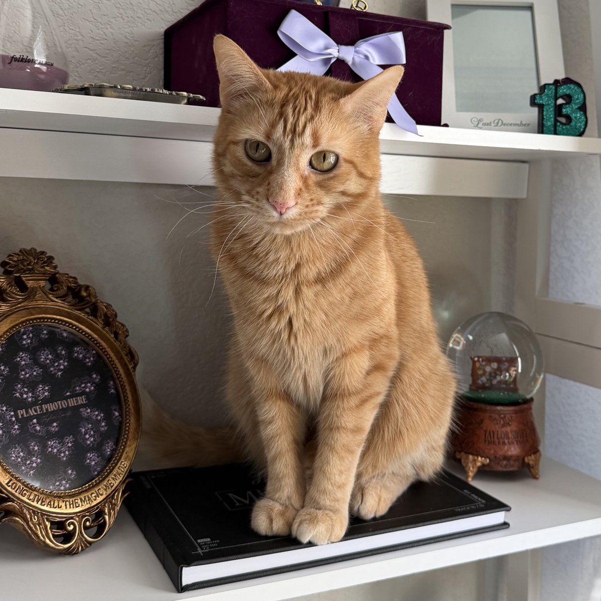 smarties tweet media