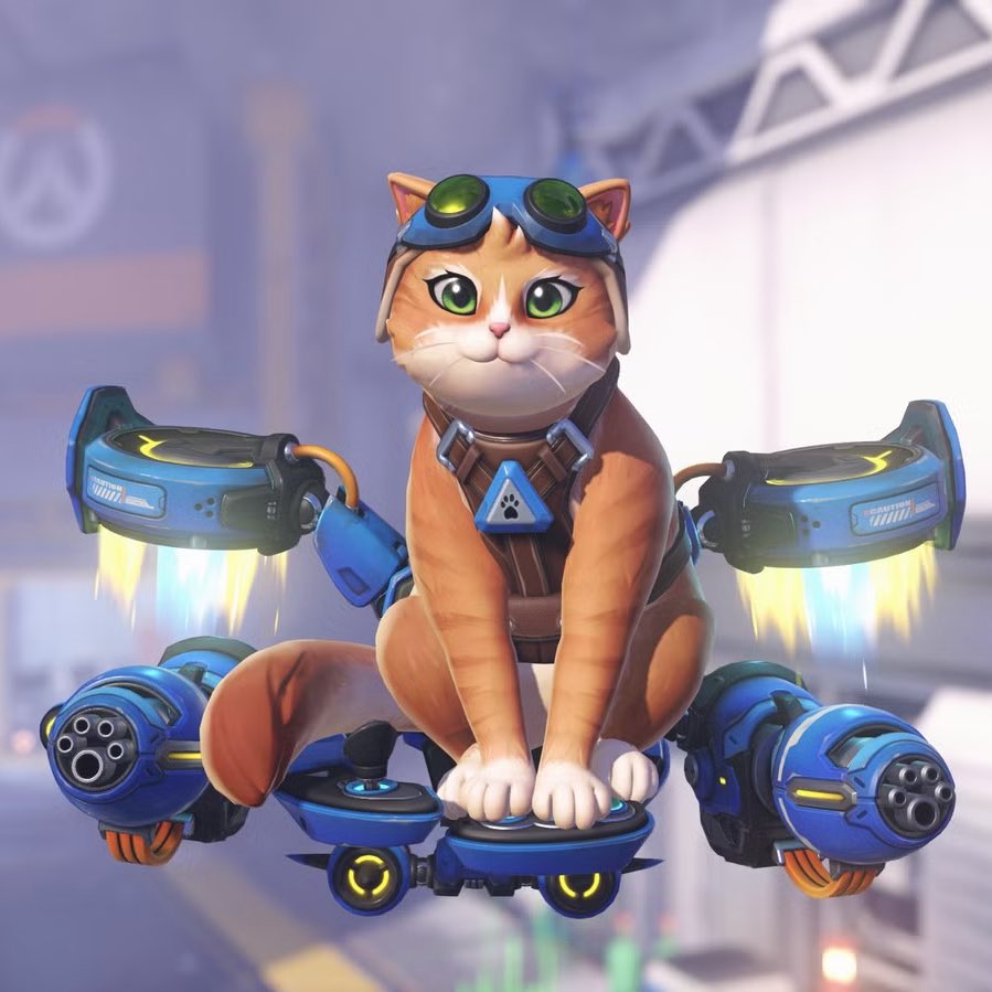 smarties tweet media