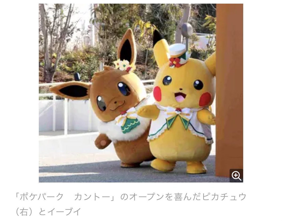 ポケパーク カントー ピカチュウ ぬいぐるみ 2種セット - メルカリ
