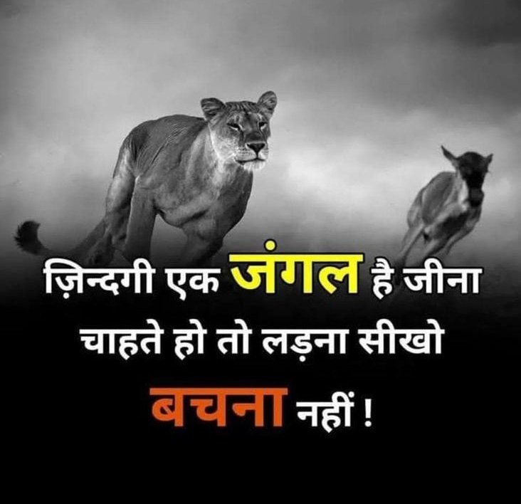 जिंदगी एक जंगल है,
 जीना चाहते हो तो लड़ना सीखो , बचना नहीं !

सुप्रभात वंदन 🙏 
Good Morning 𝕏 Creators ♥️