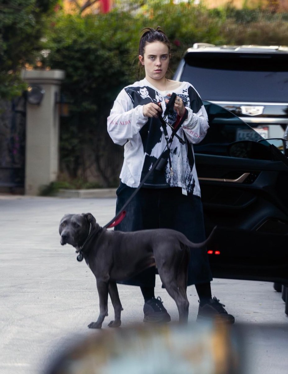 Sara Rose 🇺🇸🌹 tweet media