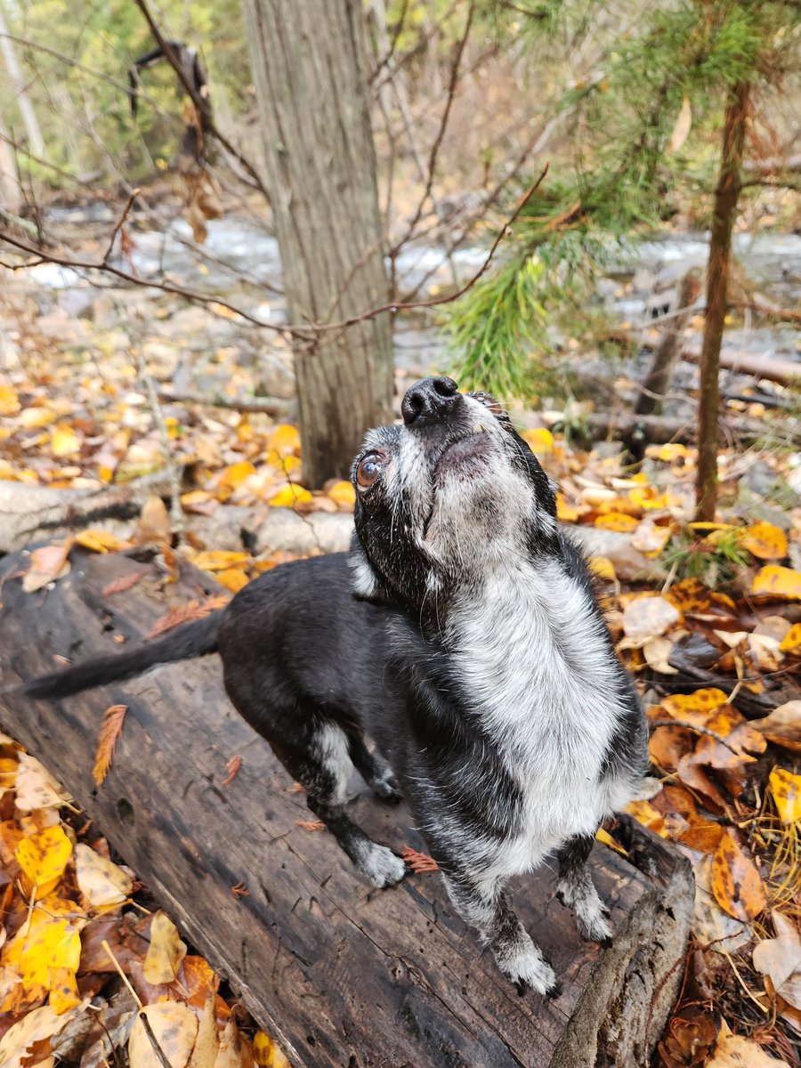 Rico can feel it all around him