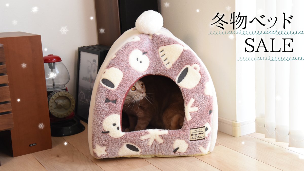 猫用品のゴロにゃん (@56nyan_com) / Posts / X