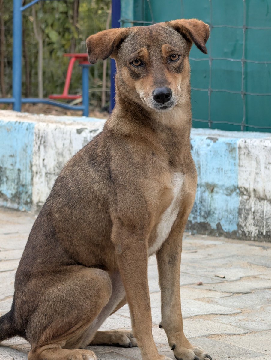 Siva_Bharani's tweet image. Shot on #Pixel10Pro #NoEdit 
#TeamPixel